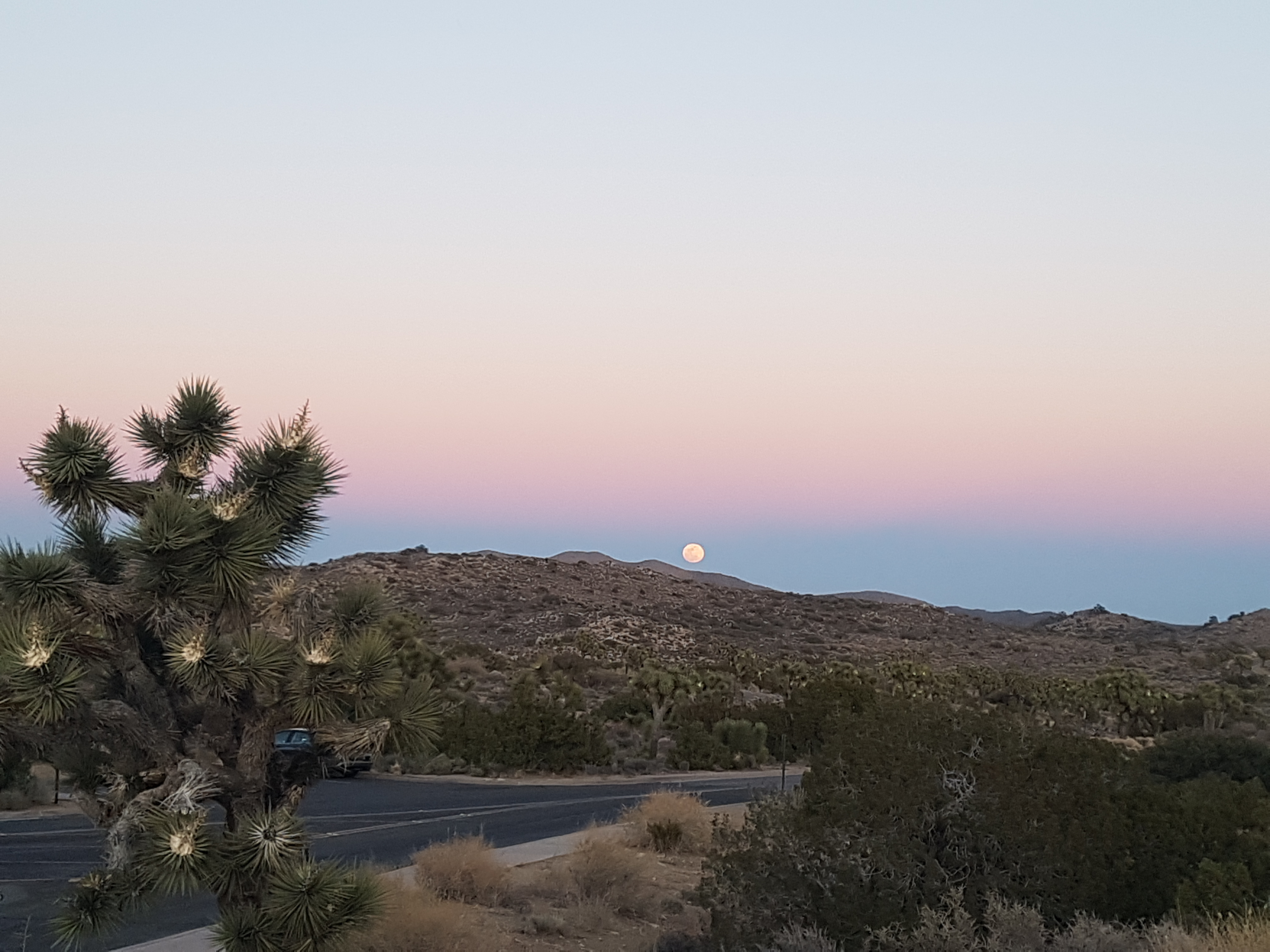 보라색과 핑크빛 황혼의 하늘 위로 떠오른 보름달 야경