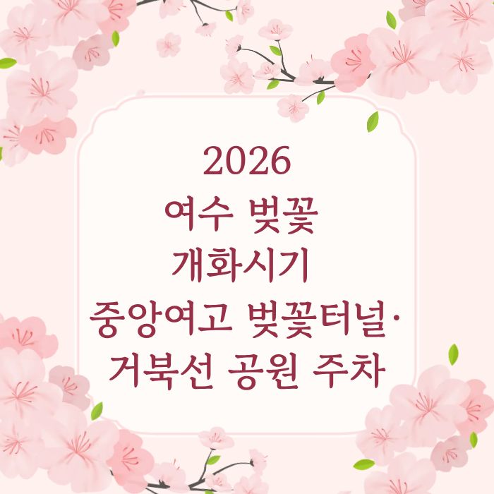 2026여수 벚꽃 개화시기 중앙여고 벚꽃 터널·거북선공원 주차