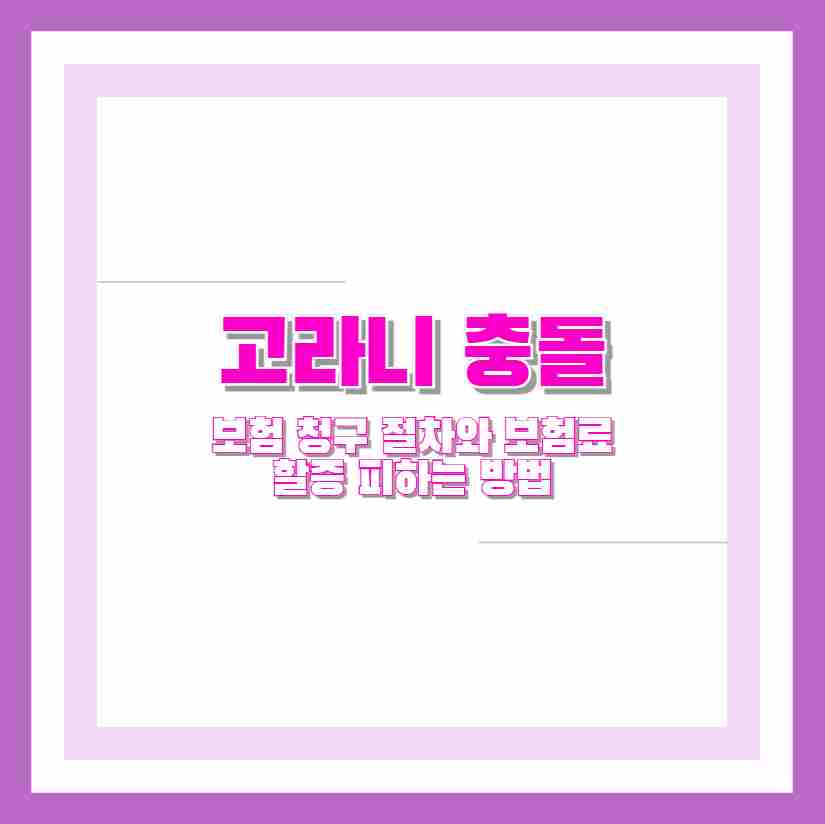 고라니 충돌 보험 청구 절차와 보험료 할증 피하는 방법