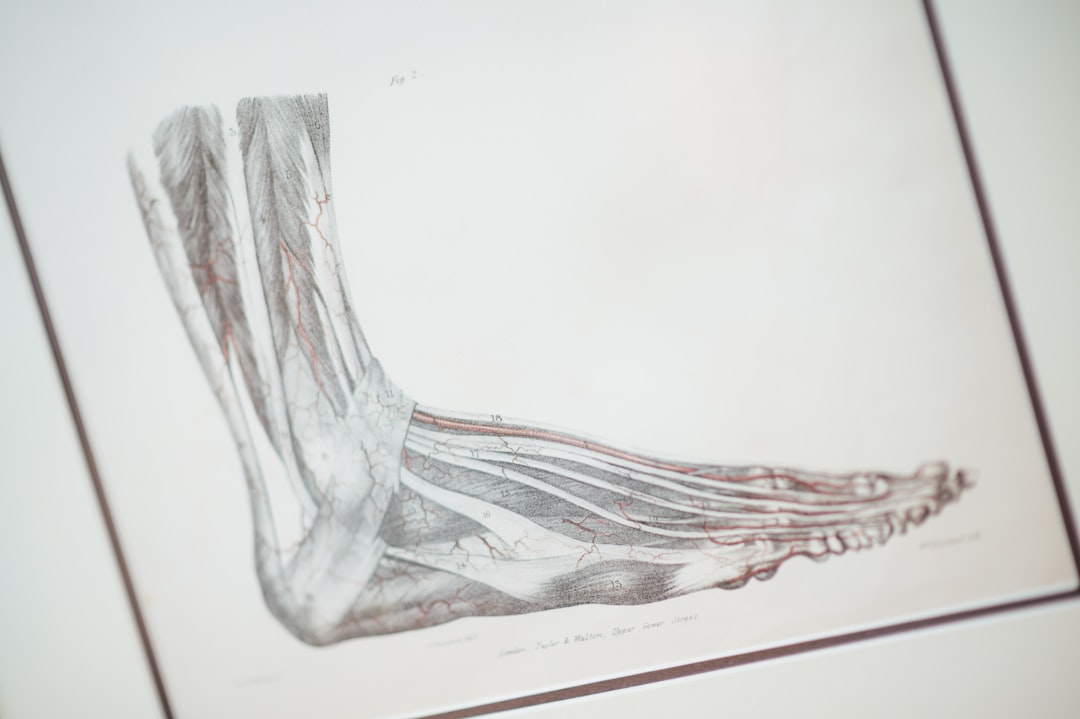 Orthopedics