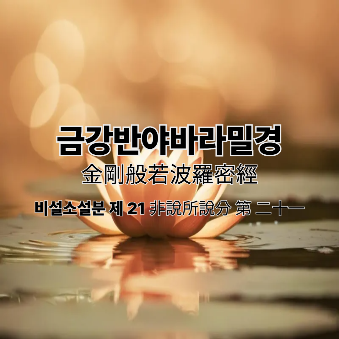 금강반야바라밀경 - 금강경
