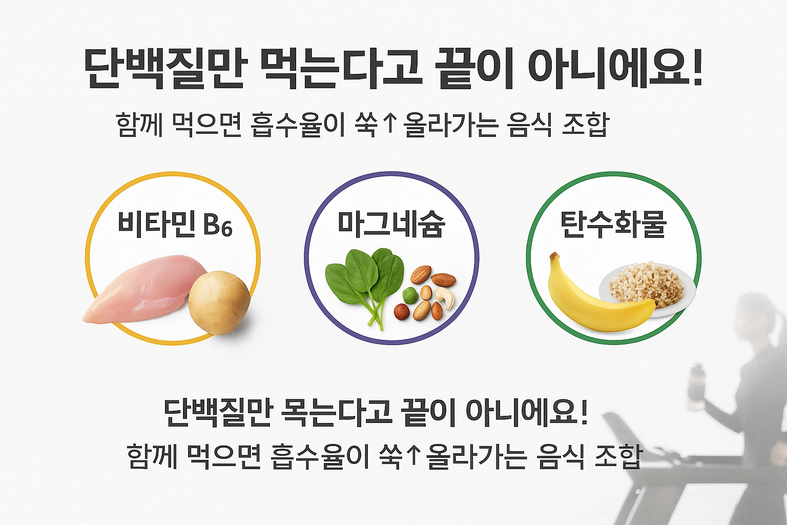 단백질 흡수율 높이는 음식 조합
