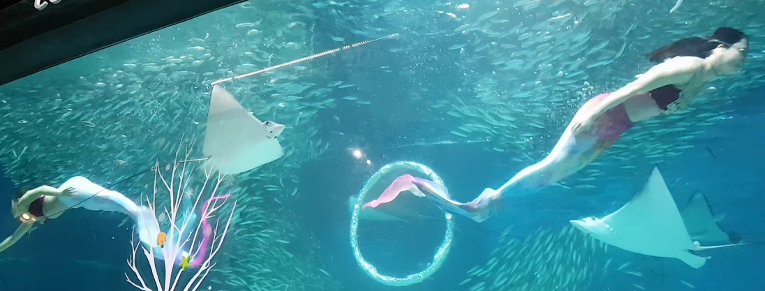 서울 커플 데이트 코스2