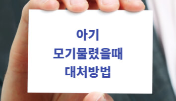 아기 모기 물렸을 때