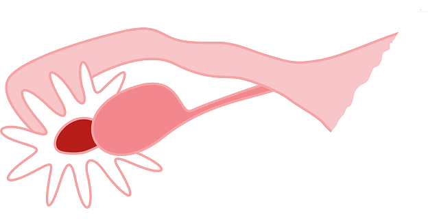 난소암: 여성 건강의 중요한 경고 신호