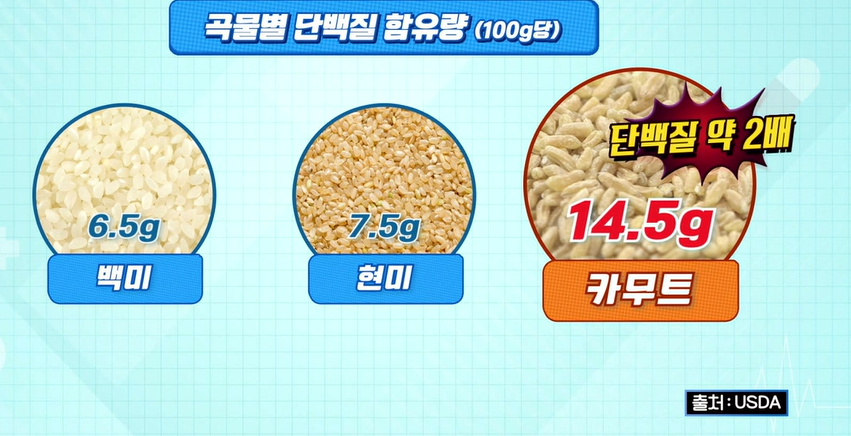 카무트 효소 효능