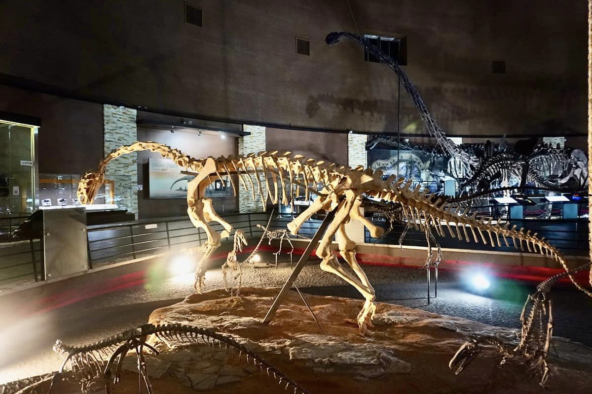 2024 해남 공룡대축제 특징