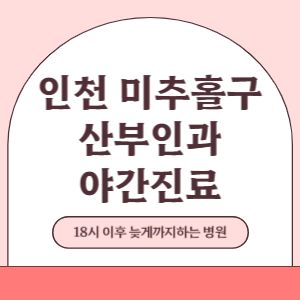 인천 미추홀구 야간진료 산부인과 병원 (18시 이후 늦게까지하는 병원)