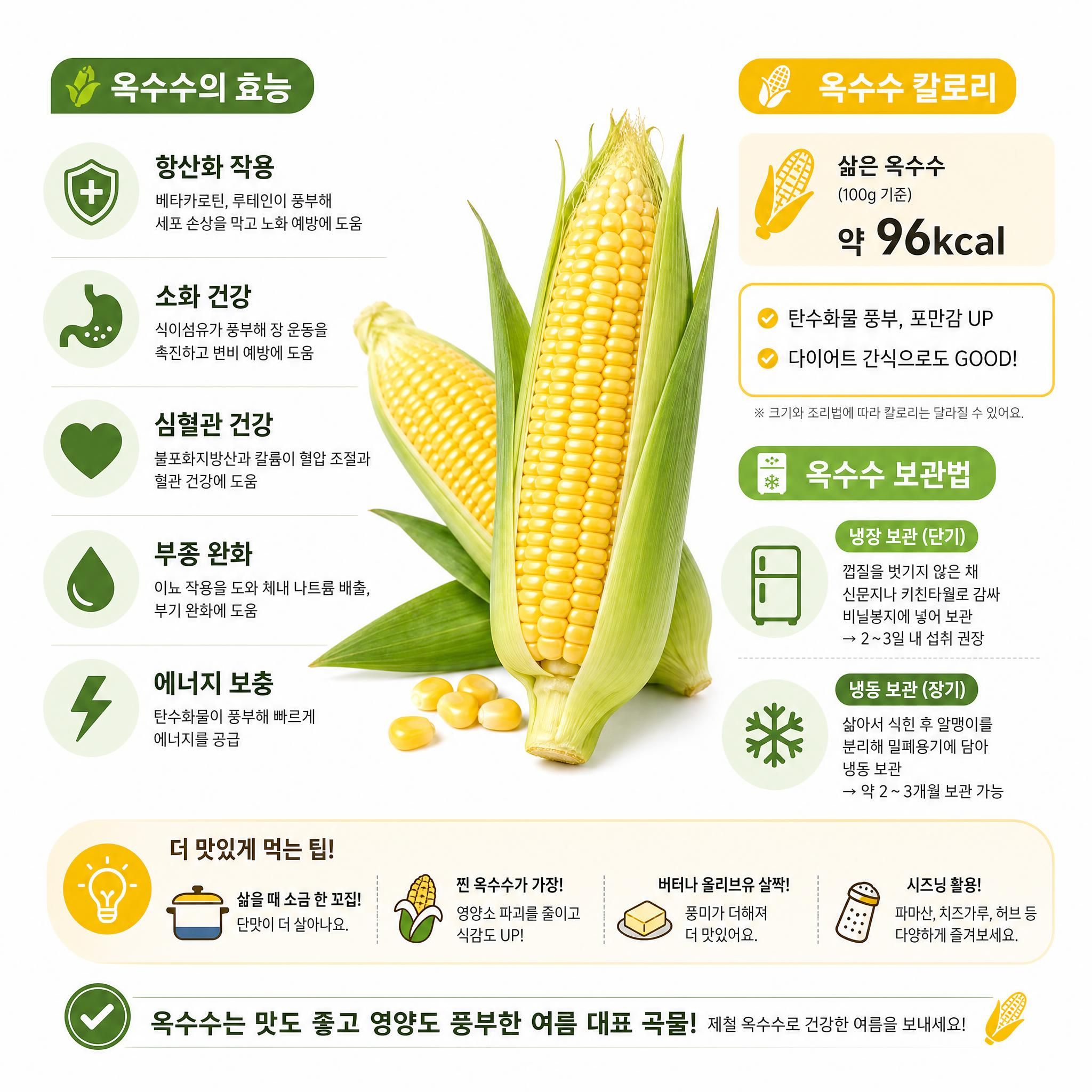 옥수수, 여름에 꼭 먹어야 하는 이유! 효능부터 칼로리·보관법까지 총정리