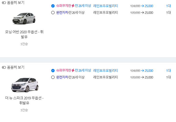 돌하루팡 렌트카