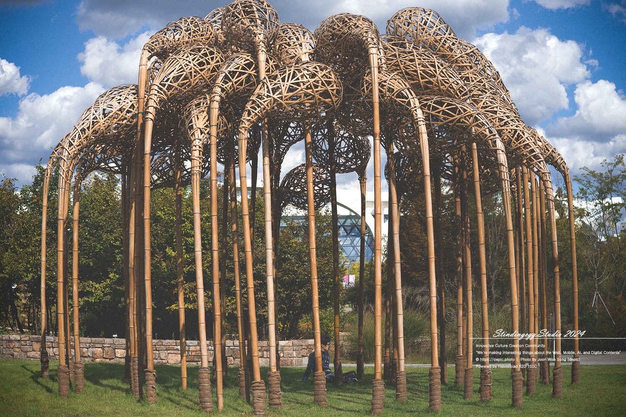 #서울 #식물원 #서울식물원 #꽃