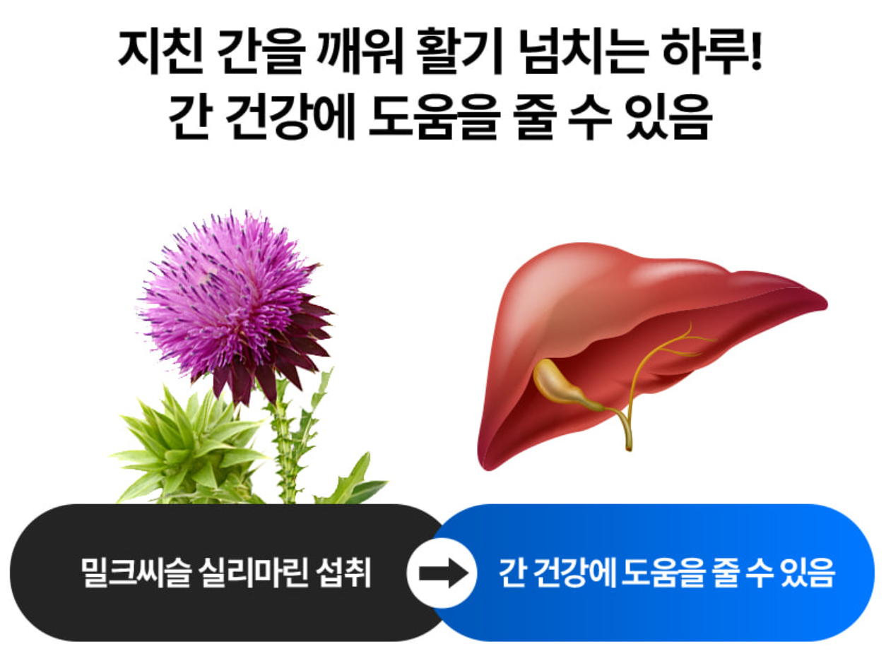 파란통 다이어트 (택연 다이어트)