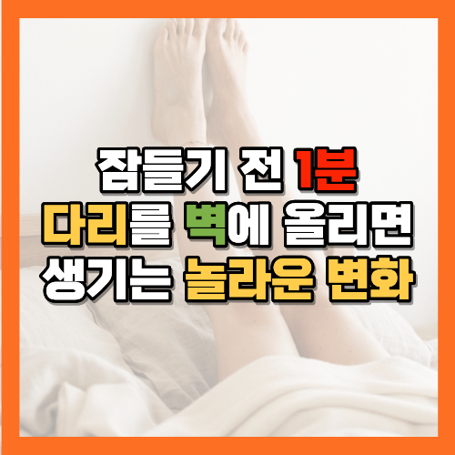 잠들기 전 1분
다리를 벽에 올리기
다리 벽에 올리는 자세
혈액순환
다리 피로
잠들기 전 습관
노후 건강
50대 건강
60대 건강
건강 습관
수면 습관
황금길가이드