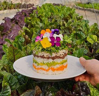 언덕마루의 꽃피는 샐허브 체험 수업