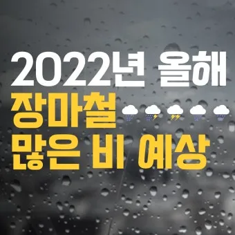 올해 장마 시작 종료일 정리 2025년 완벽 날씨 정보_3