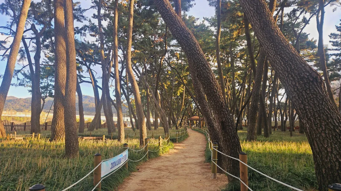 밀양 맥문동 맨발걷기