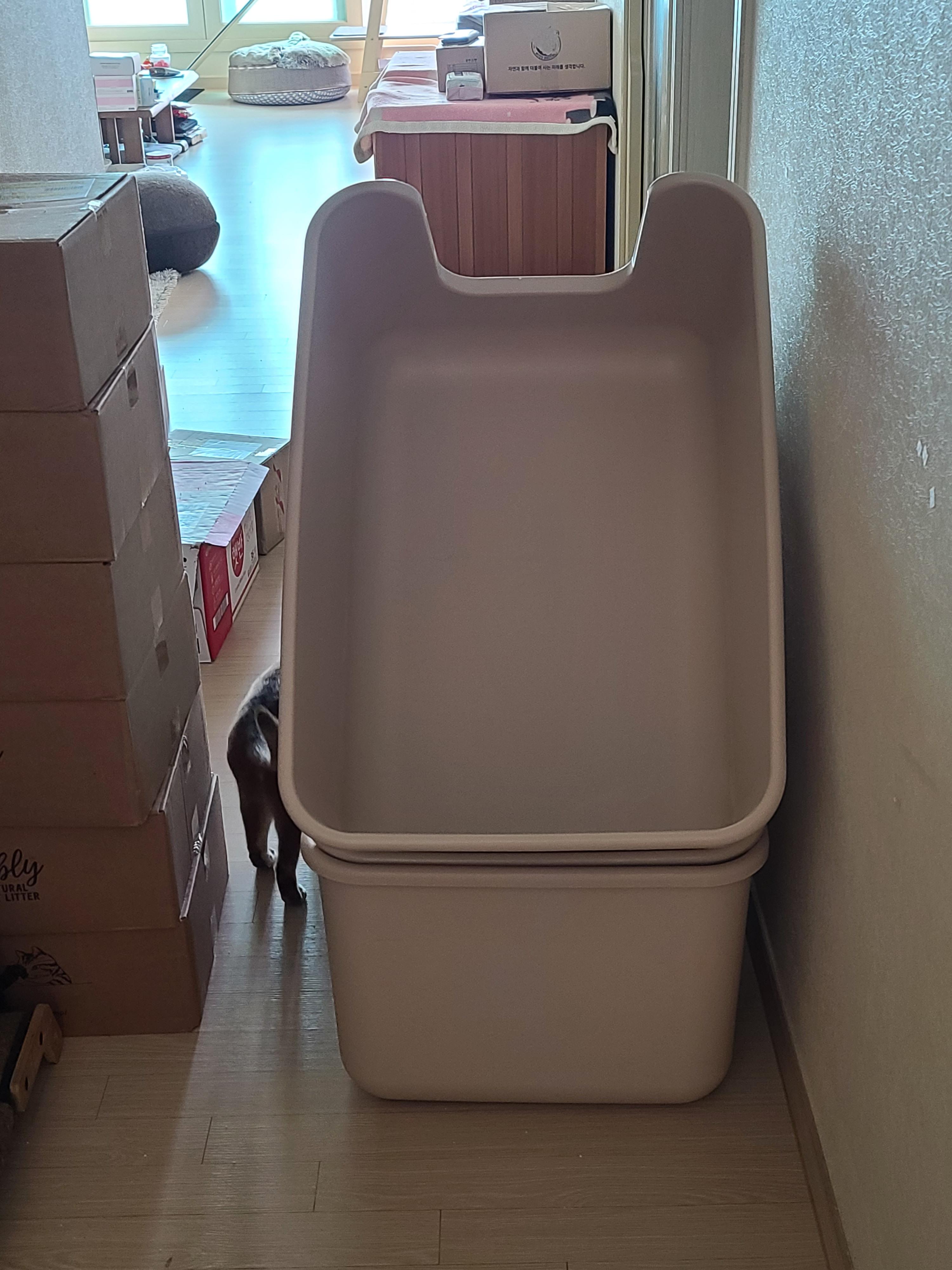 때가 되었다! 고양이 화장실 모래 전체갈이! (feat.바우젠)