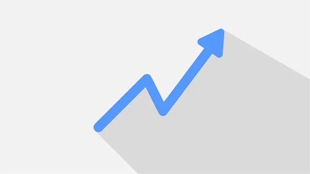 기술적 분석과 기본적 분석