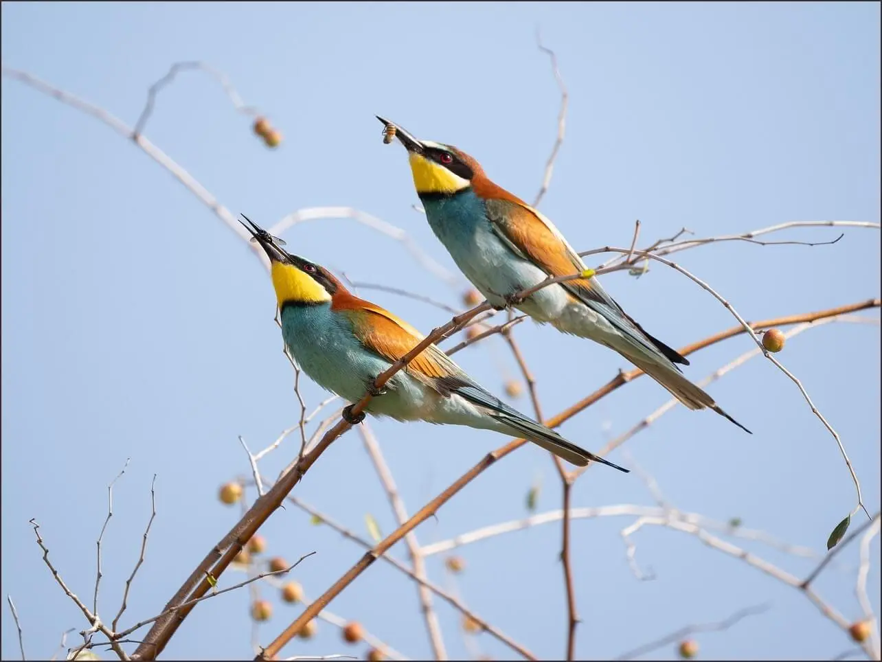 등기부등본 발급 어디서