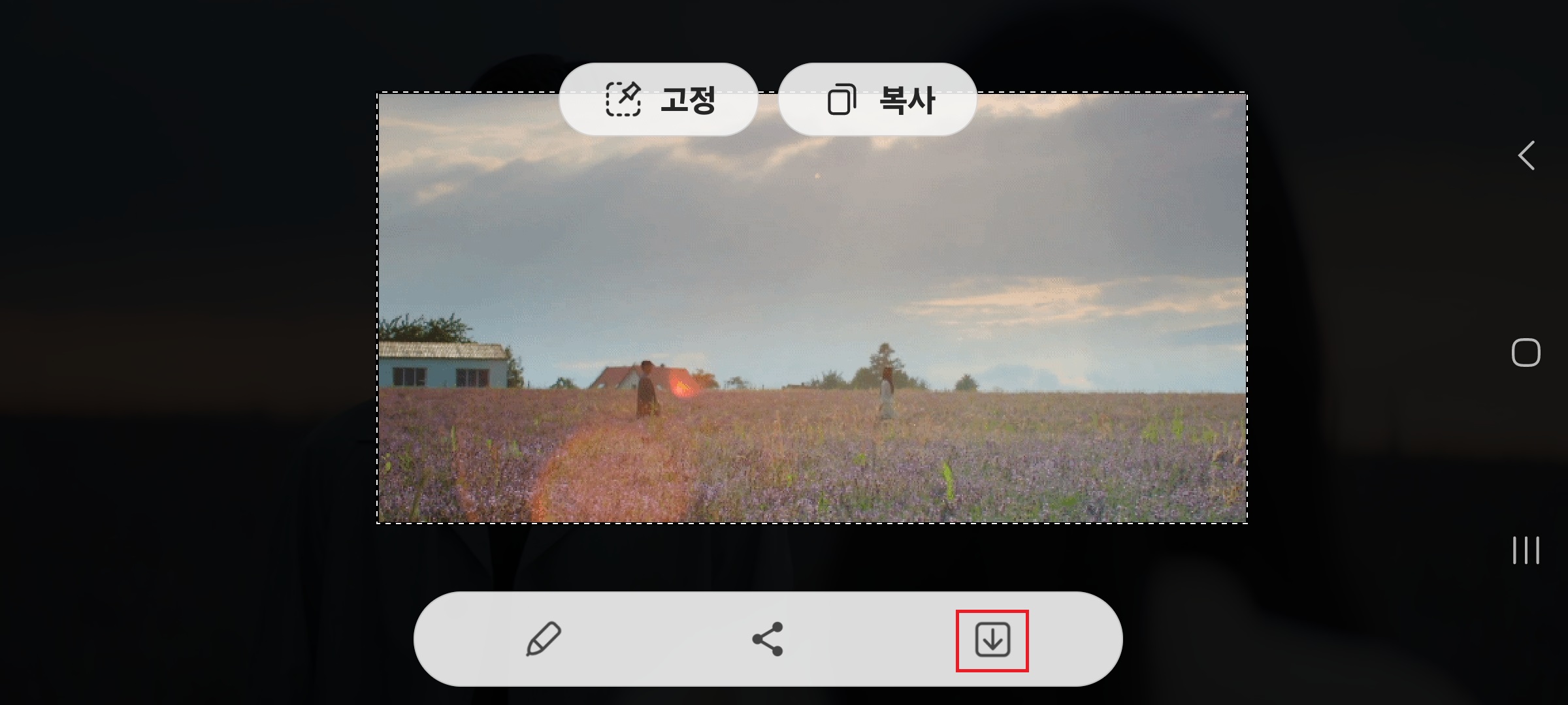gif 만들기