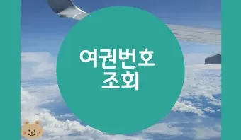 여권번호 조회 바로가기 완벽 여행 서류_12