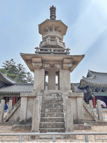 경주 벚꽃 개화 시기 및 축제 및 명소와 관련된 사진