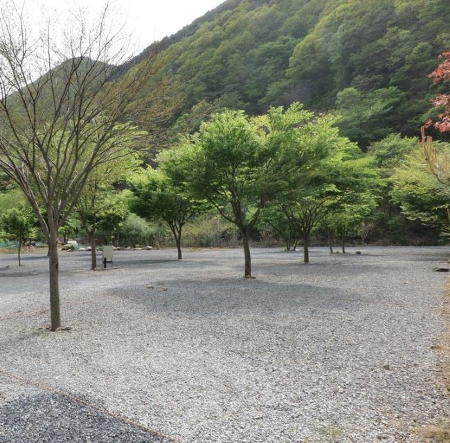 솔밭캠프_사이트