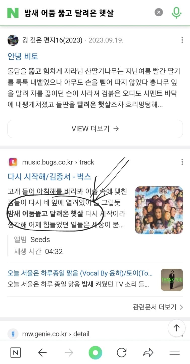 노래 찾기 가사 네이버 일반 검색 성공