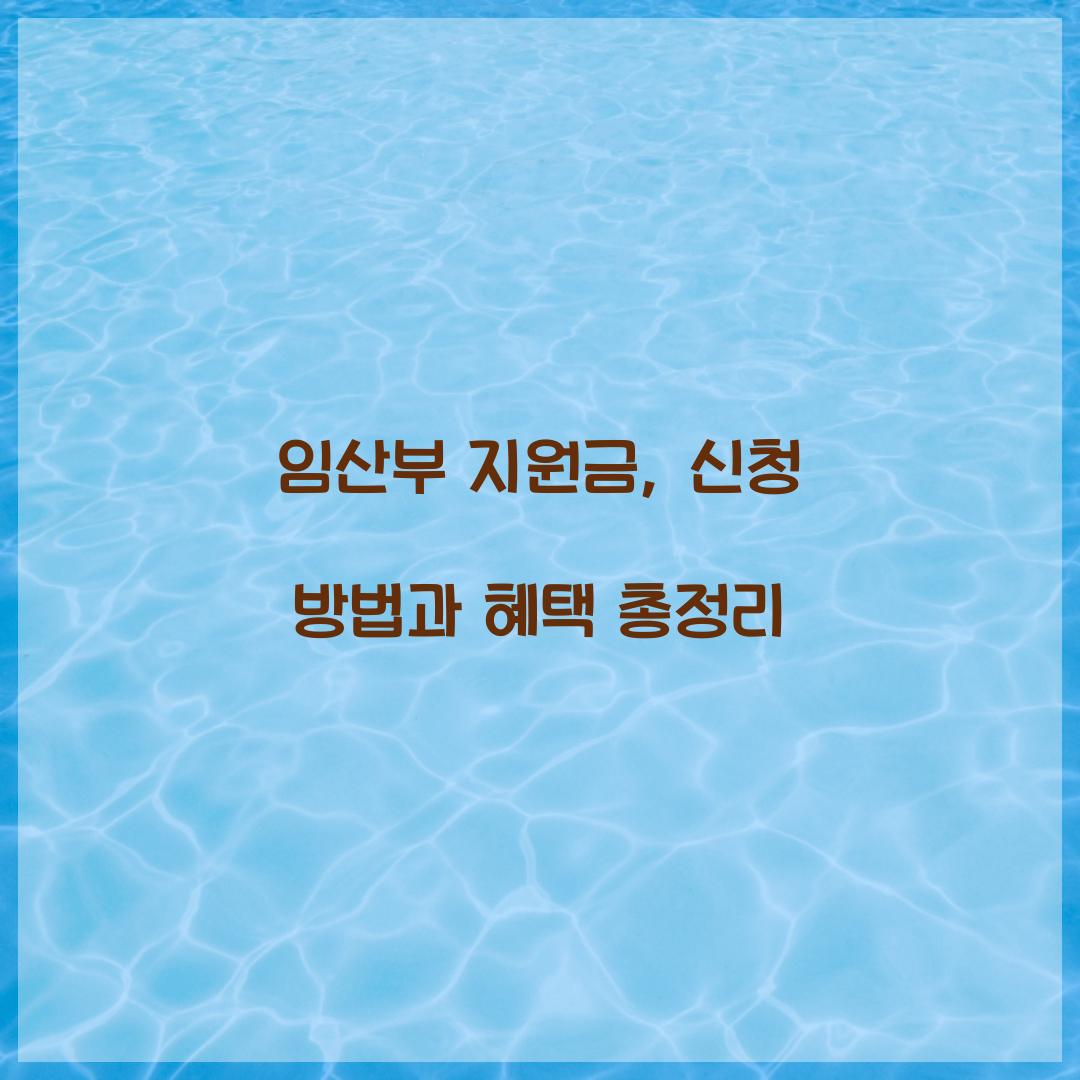 임산부 지원금