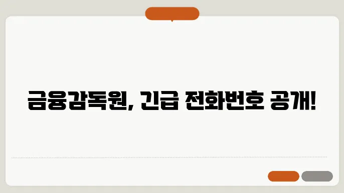 금융감독원 전화번호