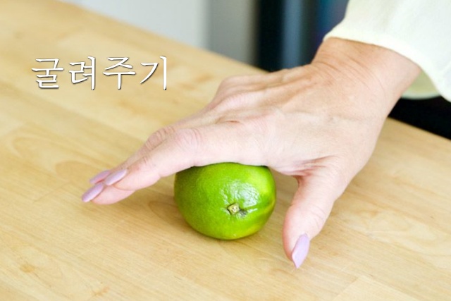 라임·레몬즙 짜는법, 레몬즙 짜는 기계, 요리, 연어, 샐러드, 레모네이드, 팁줌 매일꿀정보
