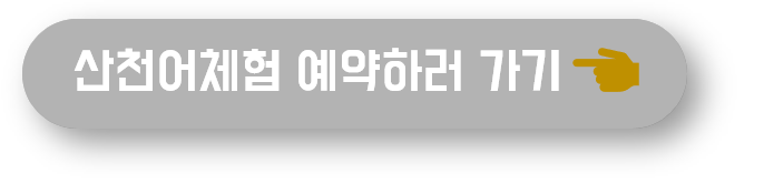 산천어축제 예약하러 가기 버튼