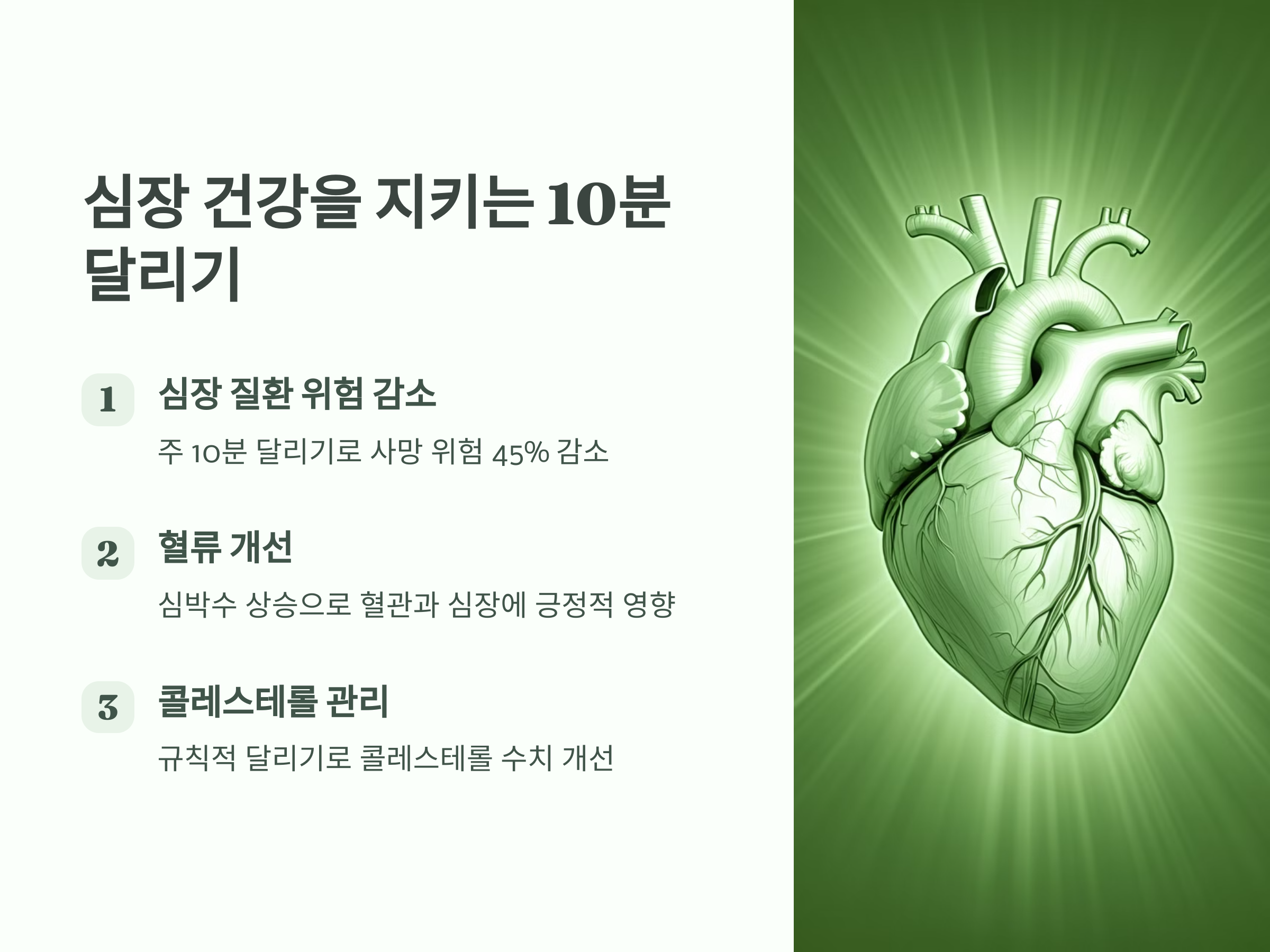 단 10분의 효과? 심장 건강을 지키는 달리기!