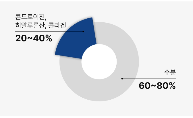 연골의 주요성분