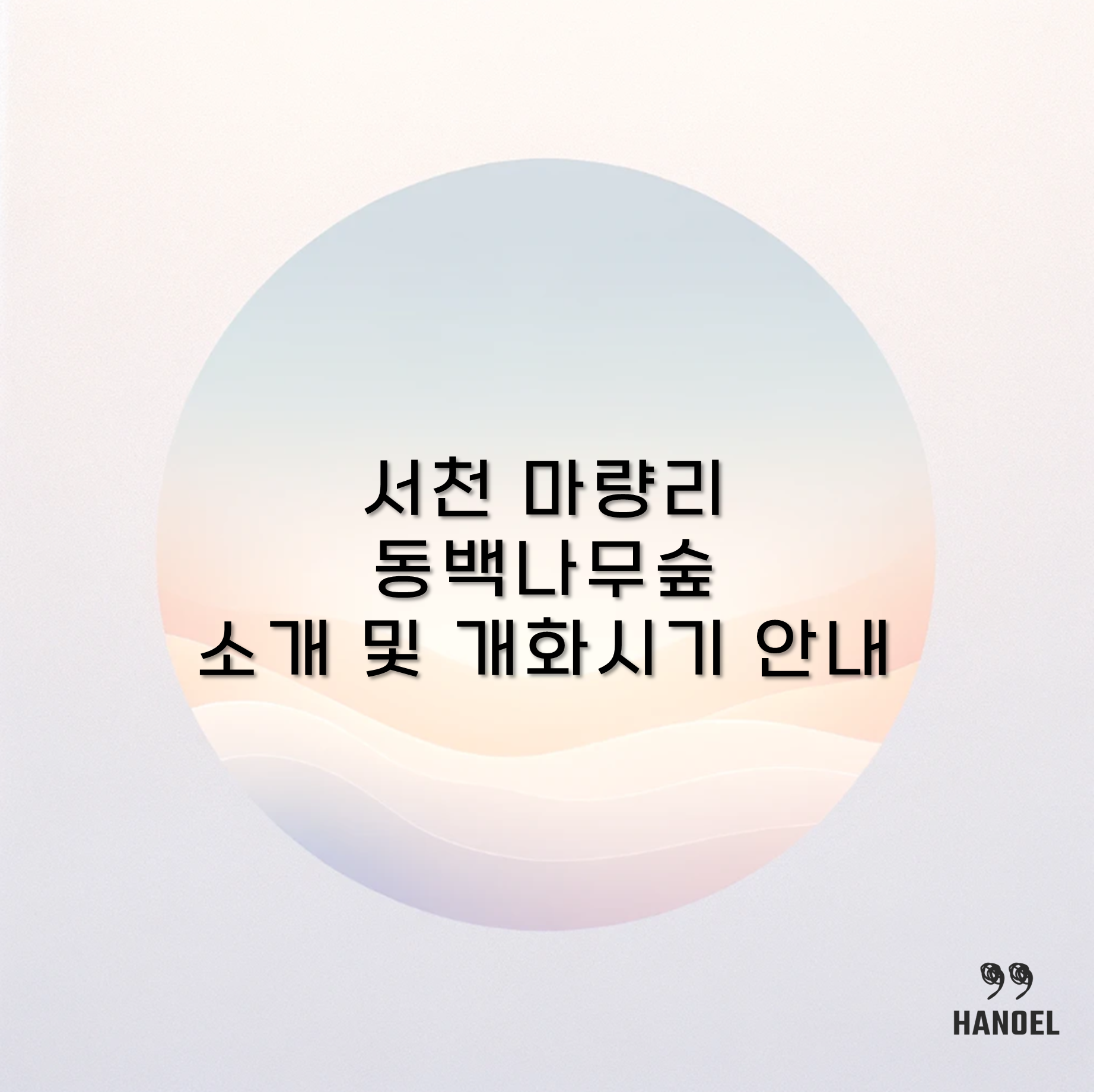 서천 마량리 동백나무숲 소개 및 개화시기 안내