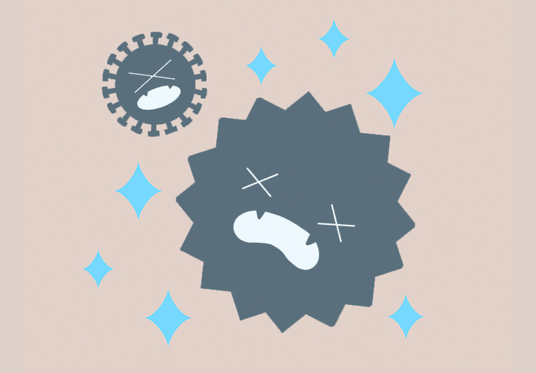 항산화-작용-모습