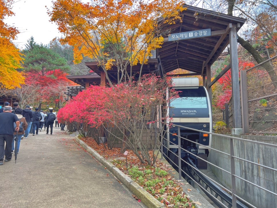 화담숲-예약-방법-2025년-최신-입장료-완벽-가이드