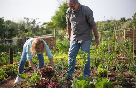 국민연금 수령나이