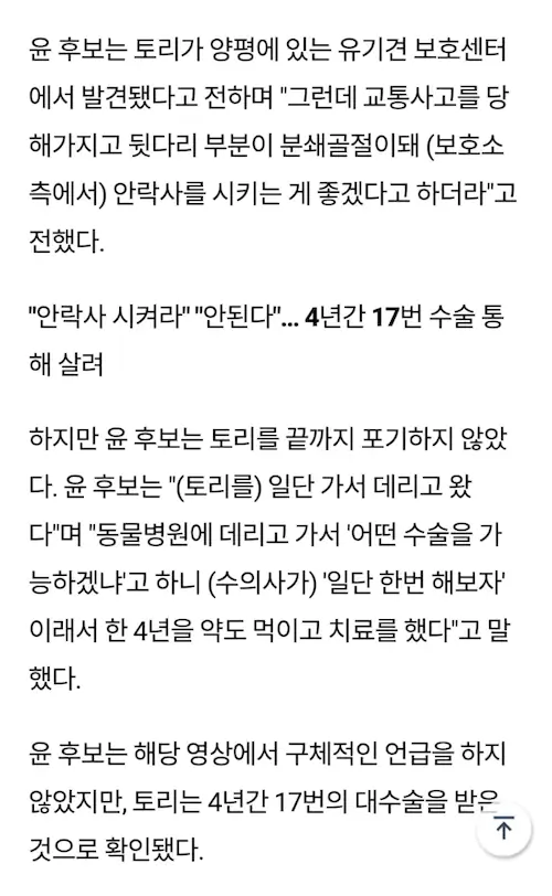윤석열 진돗개 토리 일화