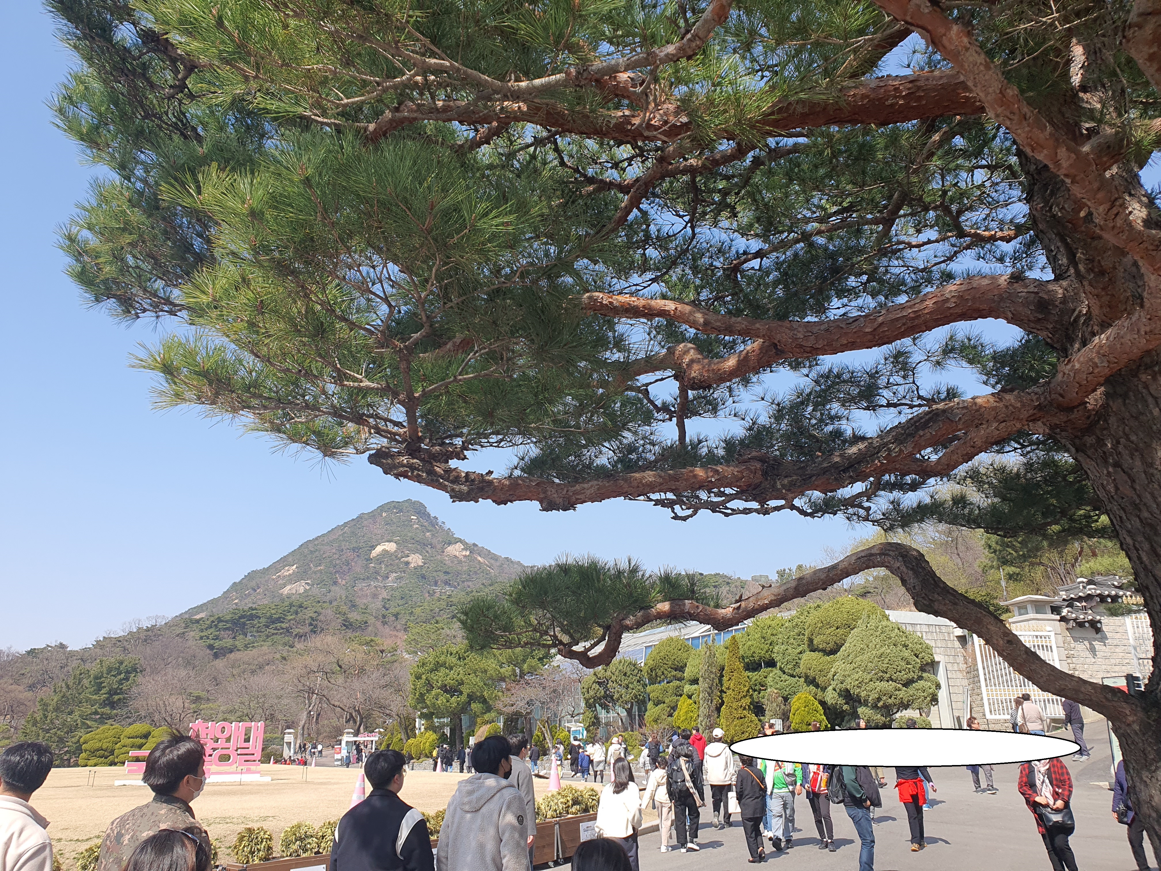 청와대