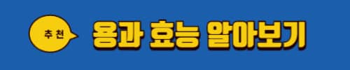 키위 효능
