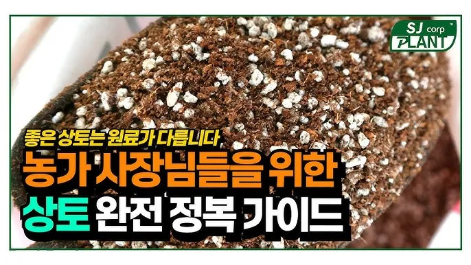 상토 선택 화분심기 초보기준 비료섞는법 안전 가이드_3