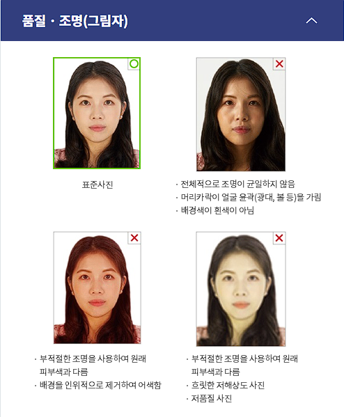 여권사진 규정
