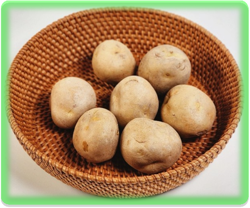 감자 보관 방법