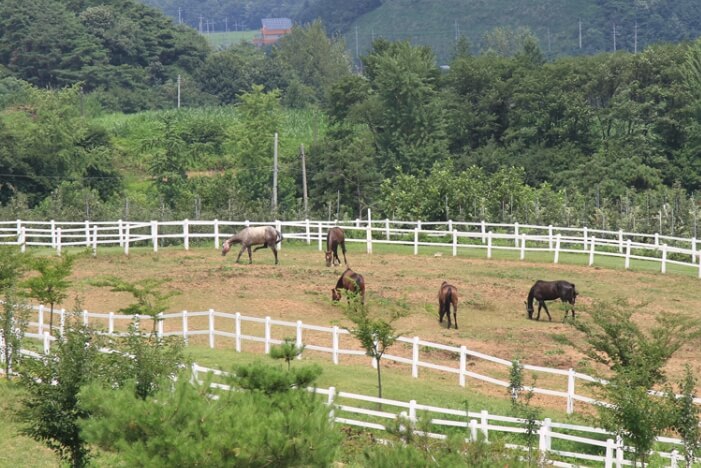 장수 가볼만한곳 베스트 10