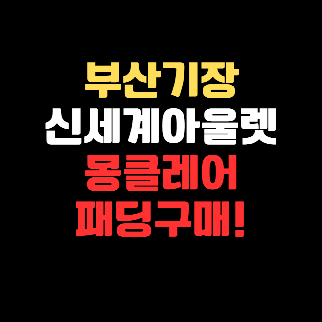부산 기장 신세계 아울렛 몽클레어 패딩, 가격부터 할인 시기까지 총정리!