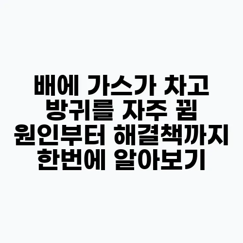 배에 가스가 차고 방귀를 자주 뀜 원인부터 해결책까지 한번에 알아보기