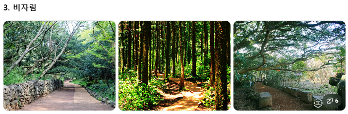 제주 쏠라티&middot;카니발 투어 비교! 기사 포함 제주 승합차투어 요금&middot;코스&middot;후기 총정리