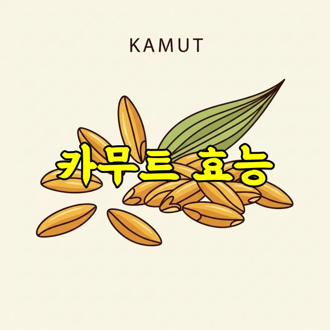 카무트 효능 총정리｜영양 가치와 건강 효과