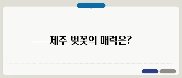 제주도 벚꽃 개화시기 & 벚꽃 명소 BEST 7